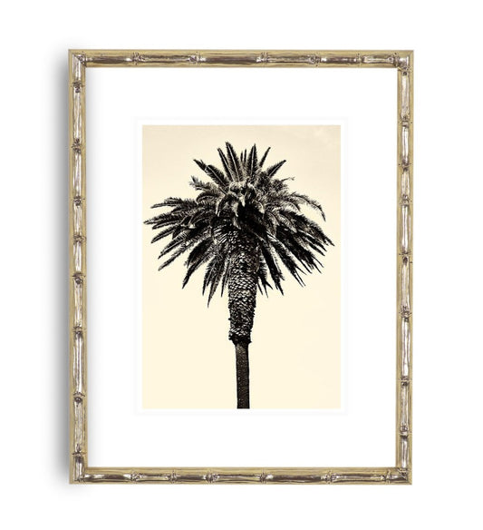 Exotic Bamboo II Picture Frame in Silver